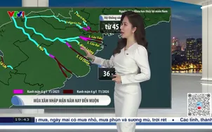 Bản tin thời tiết 19h45 - 25/01/2026