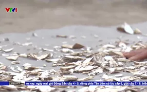 Trở ngại khi trở về