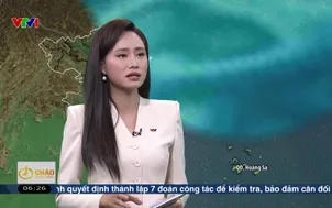 Bản tin thời tiết 6h15 - 26/01/2026