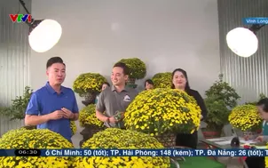 Ngày mới tiếp sức tiêu thụ hoa tết