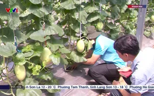 Kiểm soát chất lượng đặc sản Tết