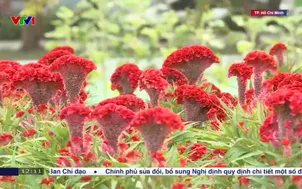 Mở cửa công viên đầu tiên được cải tạo từ đất vàng bỏ hoang