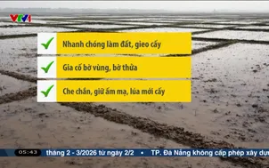 Bản tin thời tiết 5h30 - 27/01/2026