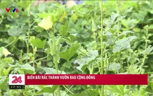 Biến bãi rác thành vườn rau cộng đồng