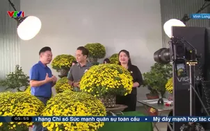 Chung tay tiêu thụ hoa Tết