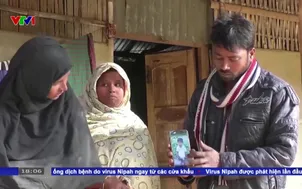 Cảnh báo nhóm dễ bị tổn thương do virus Nipah