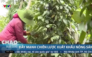 Đẩy mạnh chiến lược xuất khẩu nông sản