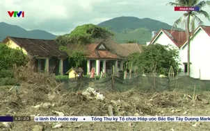 Mất mùa mai Tết