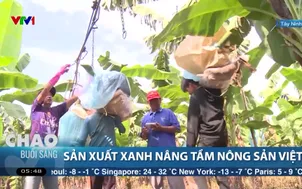 Sản xuất xanh nâng tầm nông sản Việt