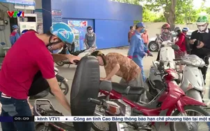 Bảo đảm nguồn cung xăng sinh học E10