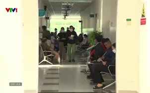 Chủ động phòng chống bệnh do virus Nipah