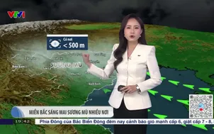 Bản tin thời tiết 19h45 - 28/01/2026