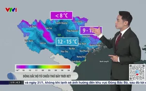 Bản tin thời tiết 19h45 - 29/01/2026