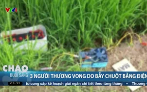 3 người thương vong do bẫy chuột bằng điện
