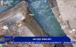 Đầu độc sông Đáy