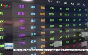 Hé lộ lợi nhuận của doanh nghiệp niêm yết