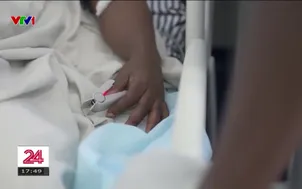 Virus Nipah: Ai có nghuy cơ và nguy hiểm đến đâu?