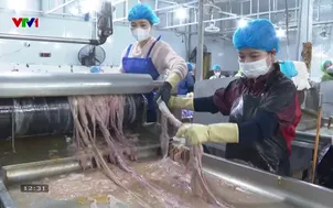 Thu giữ hơn 60 tấn lòng không rõ nguồn gốc