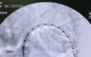 Ánh sáng tri thức: Giành lại sự sống