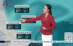 Bản tin thời tiết 19h45 - 31/01/2026