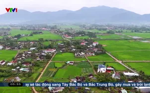 Làng hoa vạn thọ giữ hồn Tết quê