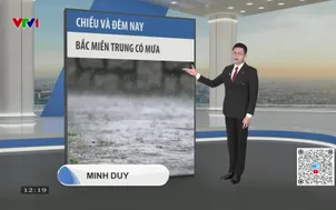 Bản tin thời tiết 12h30 - 31/01/2026