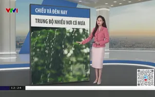 Bản tin thời tiết 12h30 - 01/02/2026