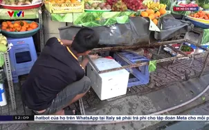 TP. Hồ Chí Minh xử lý lấn chiếm vỉa hè