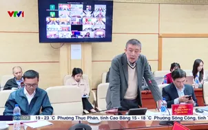 Kiểm tra an toàn thực phẩm phân cấp mạnh về địa phương