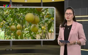 Bạn của nhà nông - Số 1: 2026