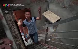 Đường tới nông trại: Nuôi chim yến ở Miền Bắc