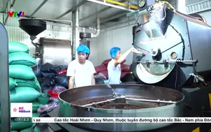 Eu siết quy định về bền vững với cà phê nhập khẩu