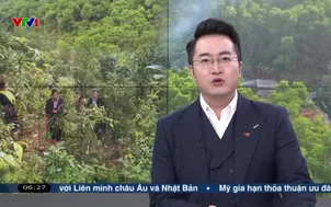 Ngày mới thu hái và bào chế dược liệu