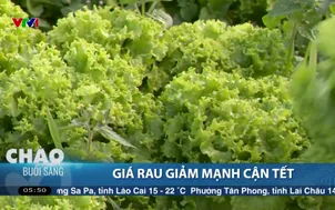 Giá rau giảm mạnh cận Tết