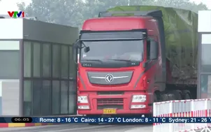 Ưu tiên thông quan thực phẩm nhập khẩu