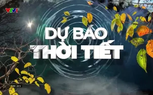 Bản tin thời tiết 19h45 - 08/02/2026