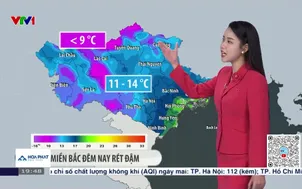 Bản tin thời tiết 19h45 - 09/02/2026