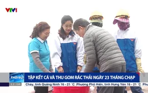 Tập kết cá và thu gom rác thải ngày 23 tháng chạp