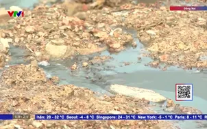 Đồng Nai: Xử lý vi phạm cơ sở chăn nuôi gây ô nhiễm môi trường