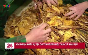 Cao Bằng: Ngăn chặn nhiều vụ vận chuyển nguyên liệu lá thuốc lá nhập lậu