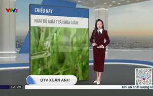 Bản tin thời tiết 12h30 - 12/02/2026