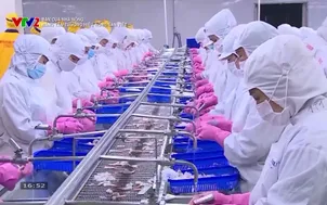 Bạn của nhà nông: Nâng tầm thương hiệu nông sản Việt