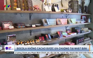 Dự báo chi tiêu dịp 14/2