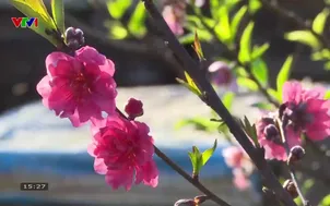 Trái tim cho em: Giữ nhịp xuân cho cuộc đời