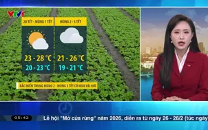 Bản tin thời tiết 5h30 - 15/02/2026