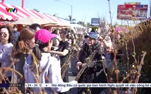 Chợ Tết người Việt ở Mỹ: Giữ hương xuân quê nhà