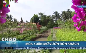 Mùa xuân mở vườn đón khách