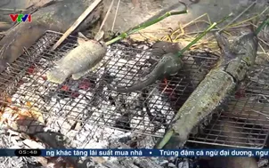 Tát đìa ăn Tết