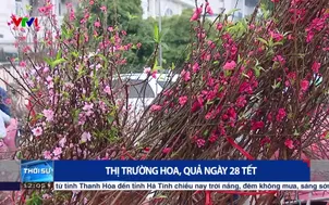 Thị trường hoa, quả ngày 28 Tết