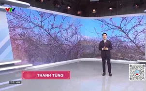 Bản tin thời tiết 19h45 - 16/02/2026